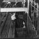 Illustration for article titled Utterly Disturbing, Century-Old Photos of Meat-Packing Facilities